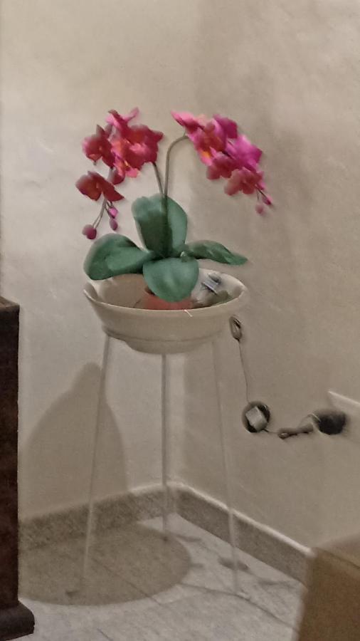Fichi D India Appartement Cellino San Marco Buitenkant foto